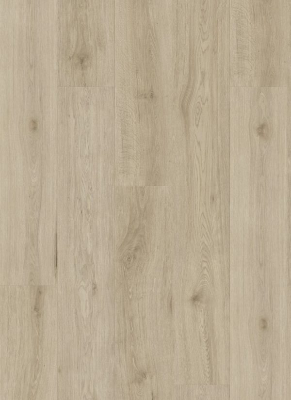 Beech wood  -A7101
