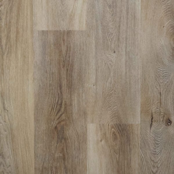 Canadian Oak -A2185