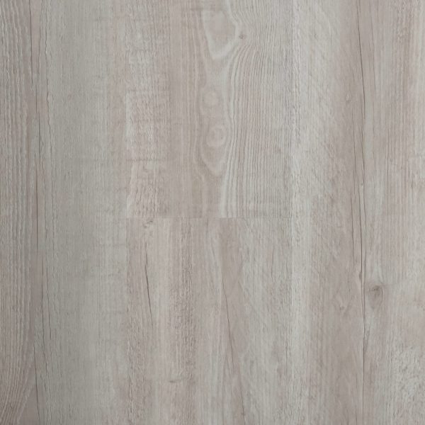 Coastal Beech -A3123